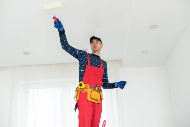 Best Mold Removal for HVAC Installations  in Hugo, OK